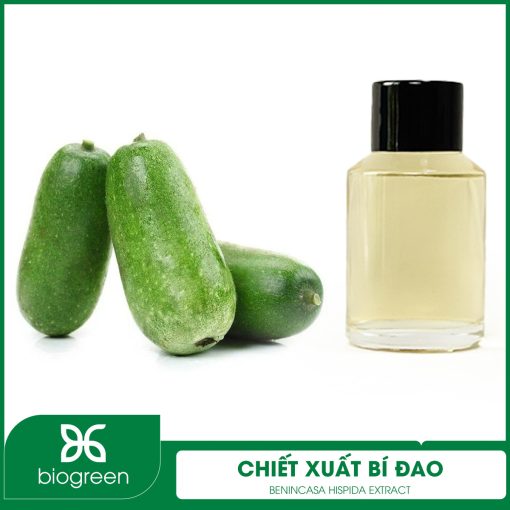 Chiết xuất Bí đao
