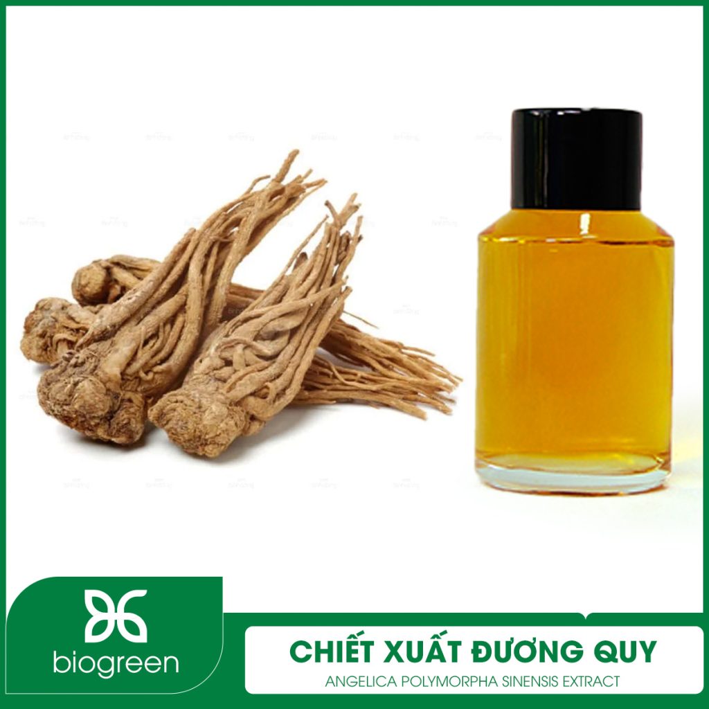 Chiết xuất Đương quy
