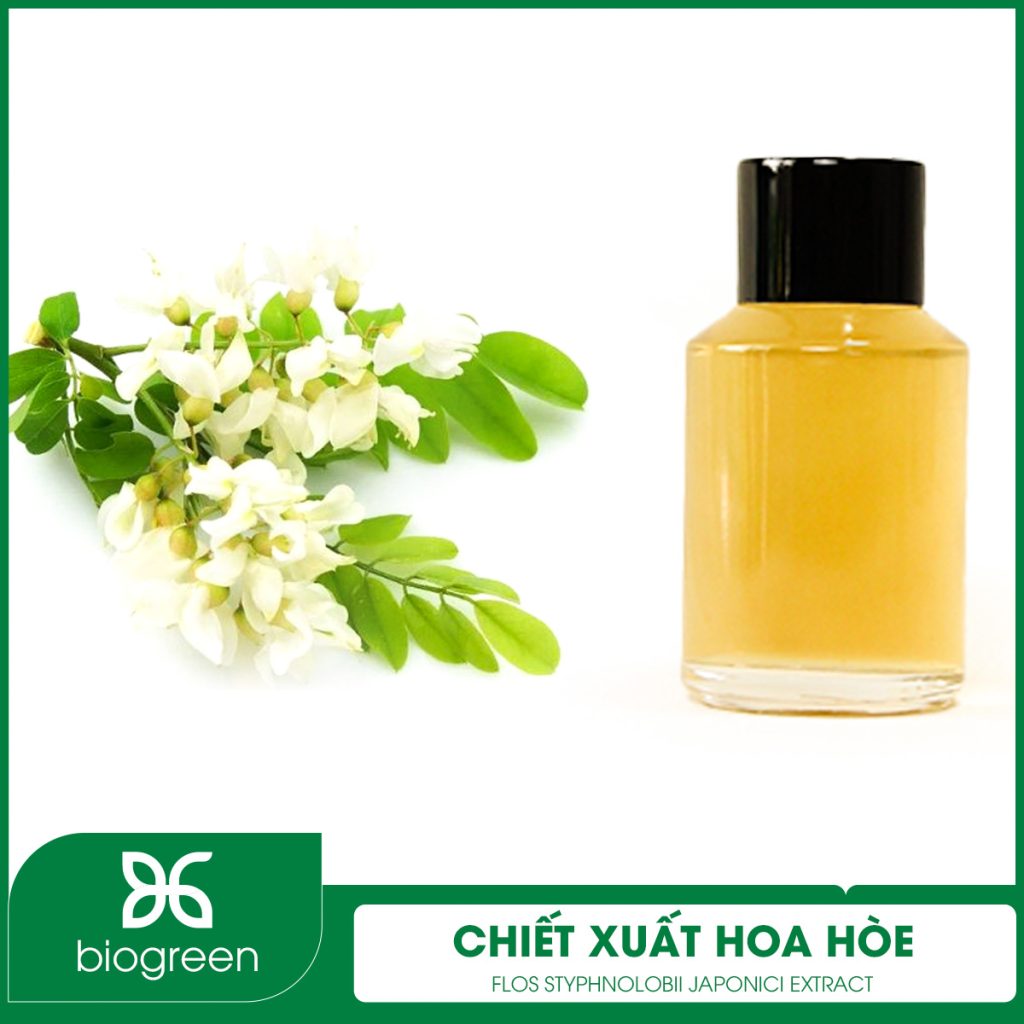 Chiết xuất Hoa hòe