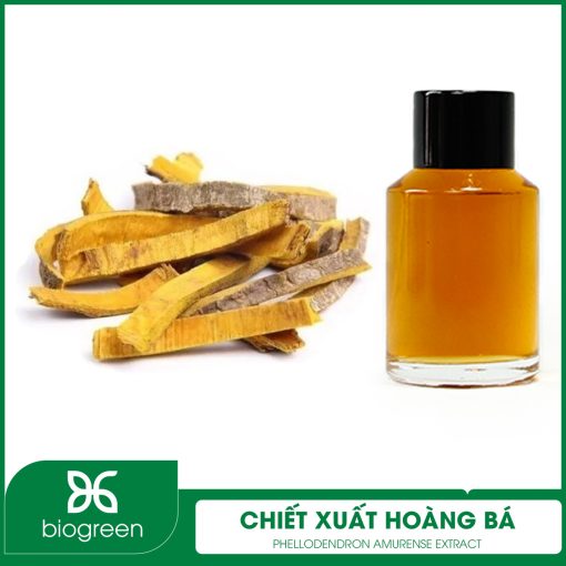 Chiết xuất Hoàng bá