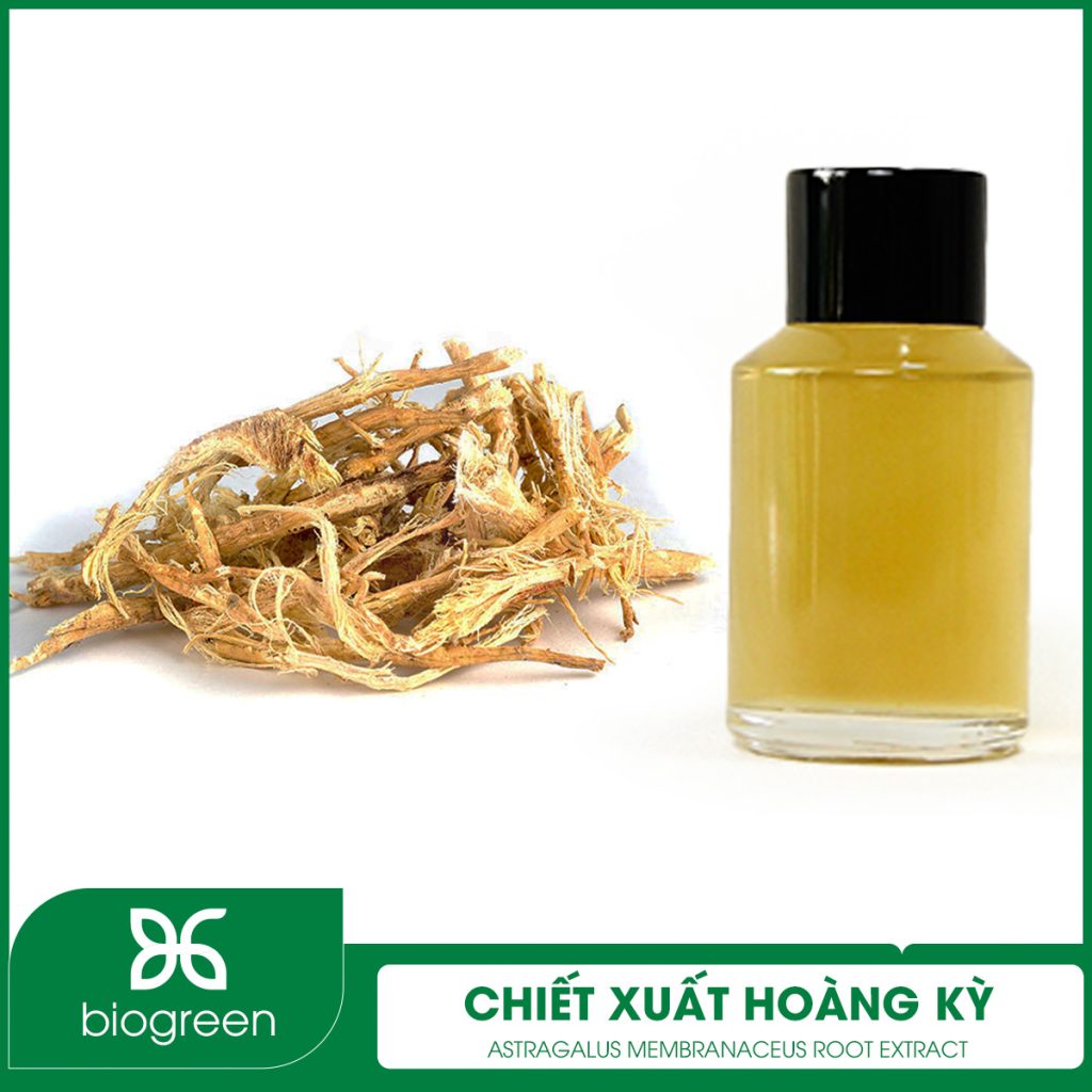 Chiết xuất Hoàng kỳ