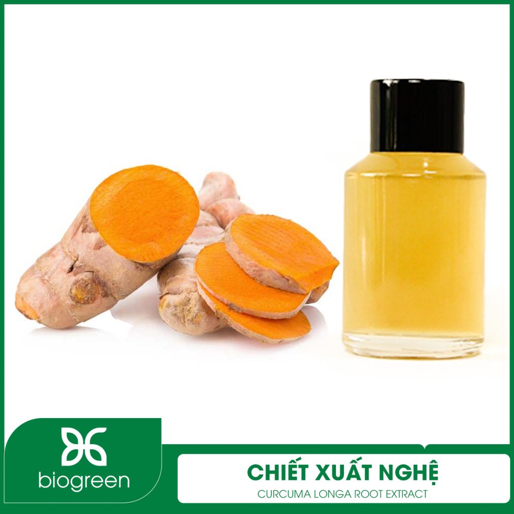 Chiết xuất Nghệ