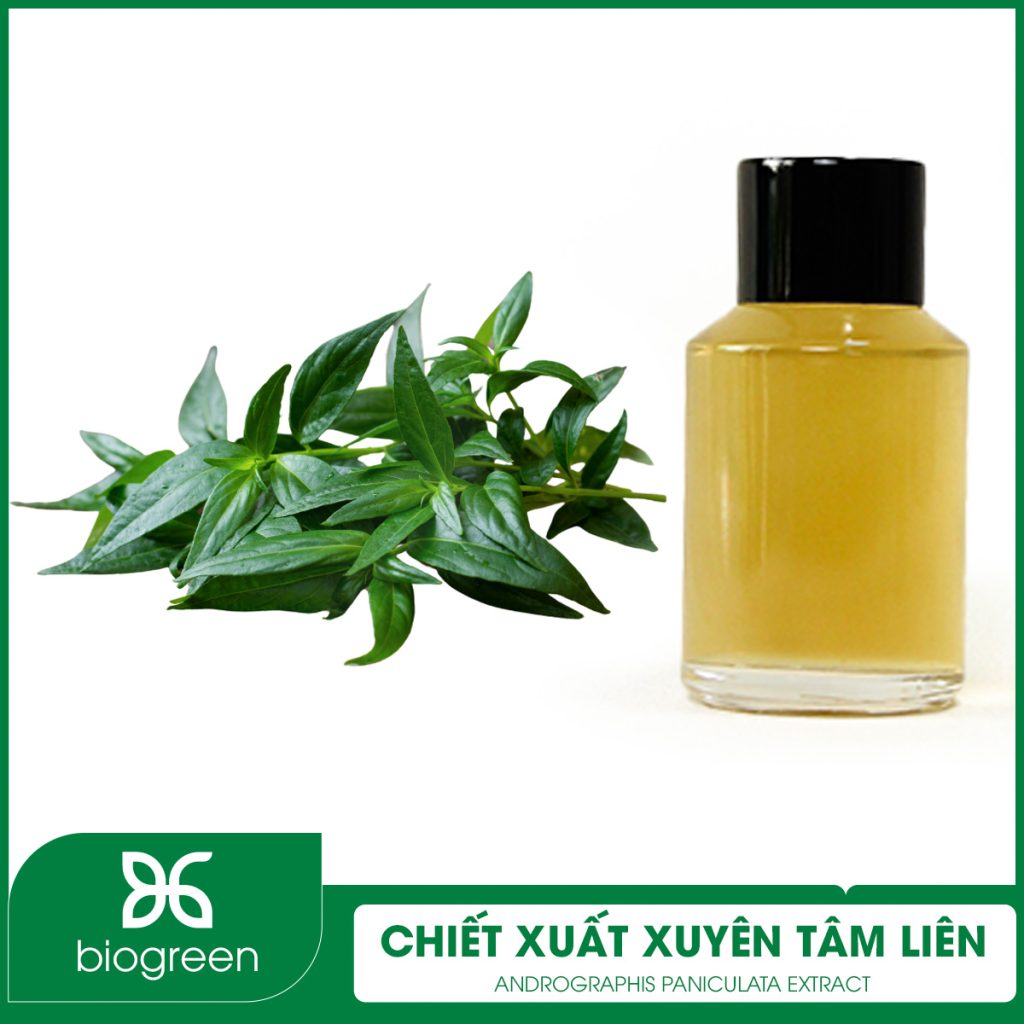 Chiết xuất Xuyên tâm liên