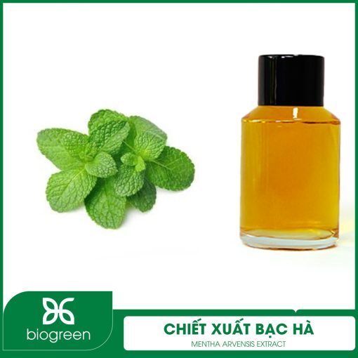 Chiết xuất Bạc hà