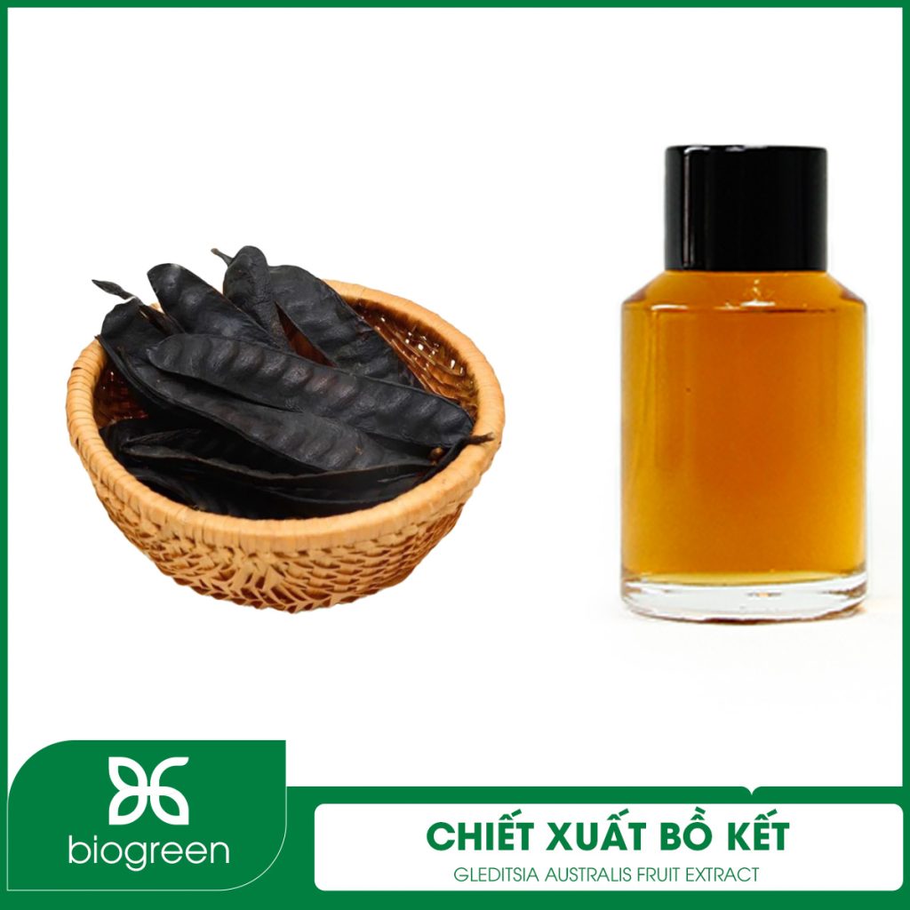 Chiết xuất Bồ kết