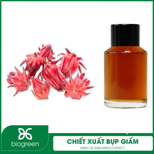Chiết Xuất Bụp Giấm