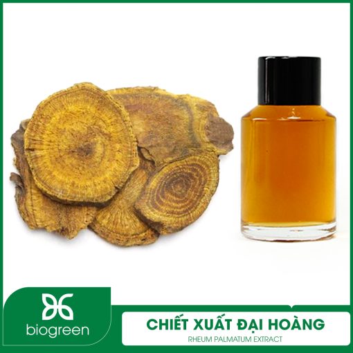 Chiết xuất Đại hoàng