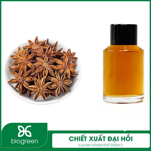 Chiết xuất Đại hồi