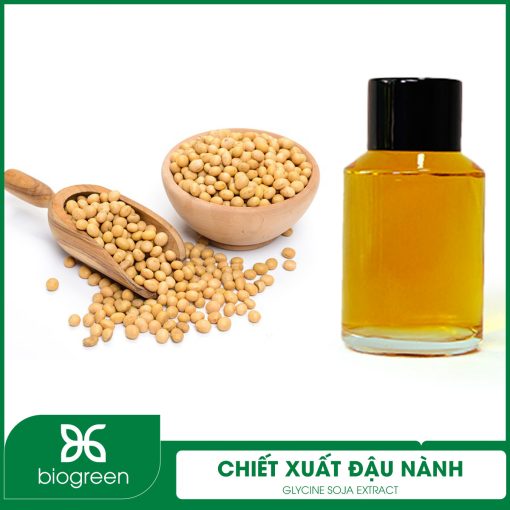 Chiết Xuất Đậu Nành
