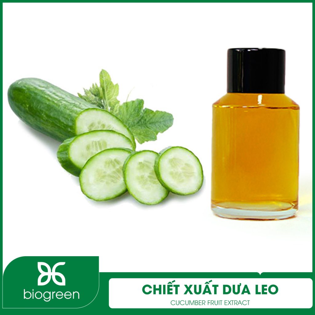 Chiết xuất Dưa leo