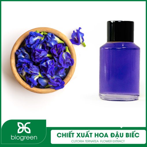 Chiết xuất Hoa đậu biếc