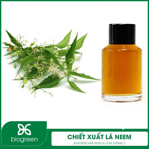 Chiết Xuất Lá Neem