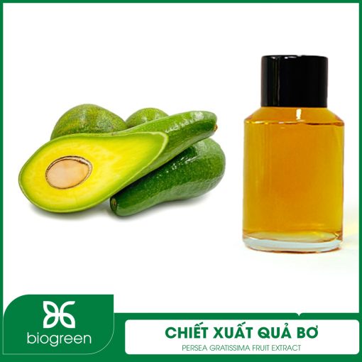 Chiết Xuất Quả Bơ