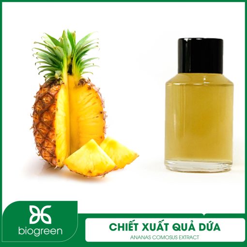 Chiết xuất quả Dứa