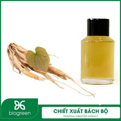 Chiết xuất Bách bộ