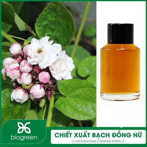 Chiết Xuất Bạch Đồng Nữ