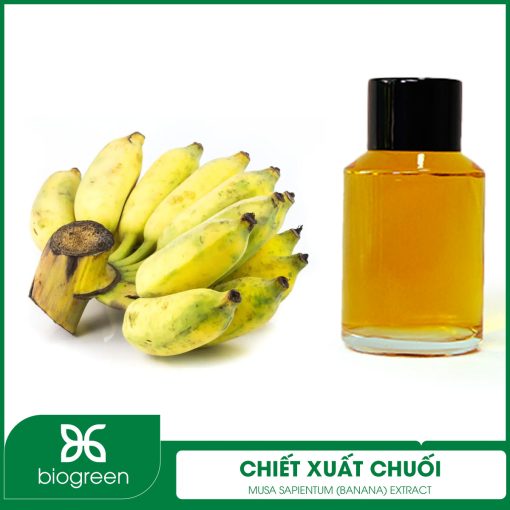 Chiết xuất Chuối