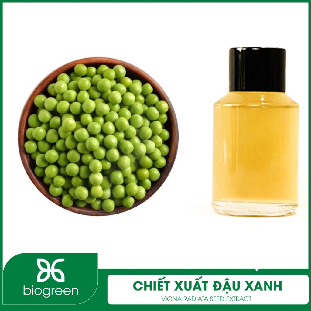 Chiết Xuất Đậu Xanh