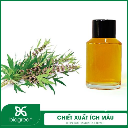 Chiết Xuất Ích Mẫu