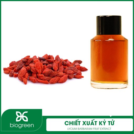 Chiết Xuất Kỷ Tử