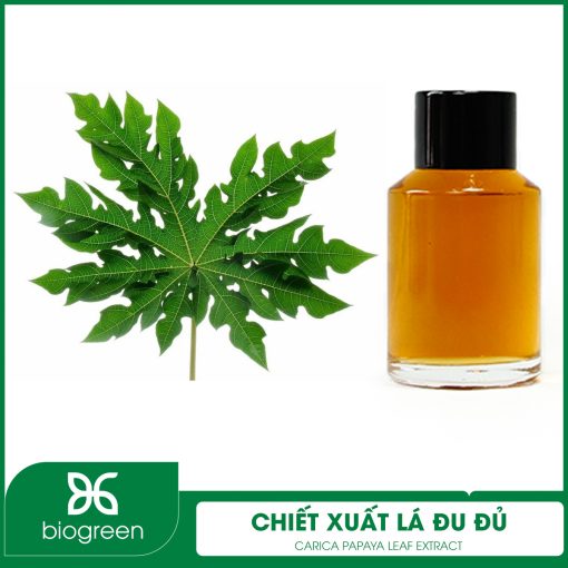 Chiết Xuất Lá Đu Đủ