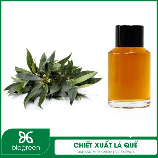 Chiết Xuất Lá Quế