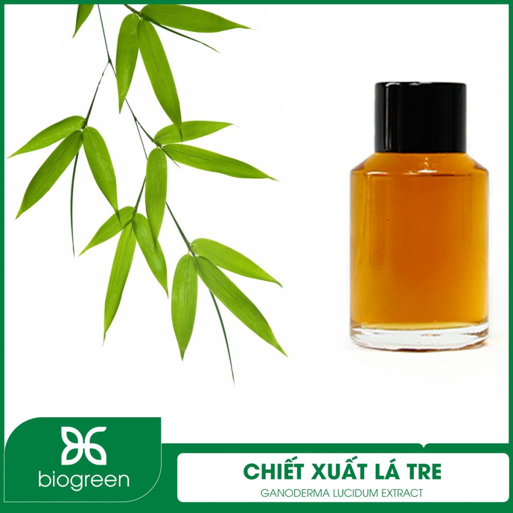 Chiết Xuất Lá Tre