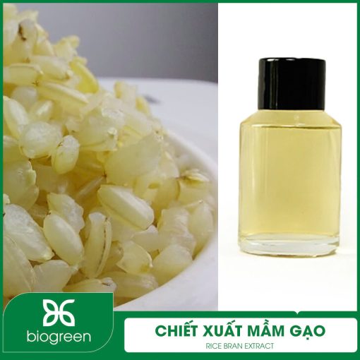 Chiết Xuất Mầm Gạo
