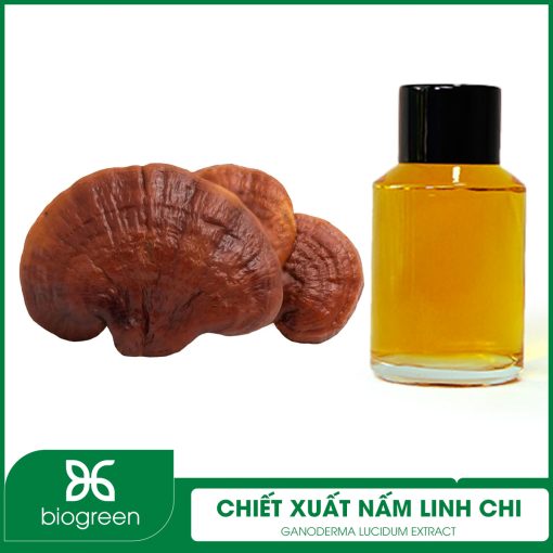 Chiết Xuất Nấm Linh Chi