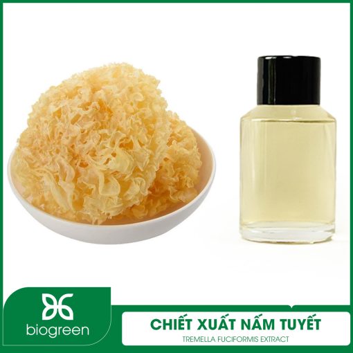 Chiết Xuất Nấm Tuyết