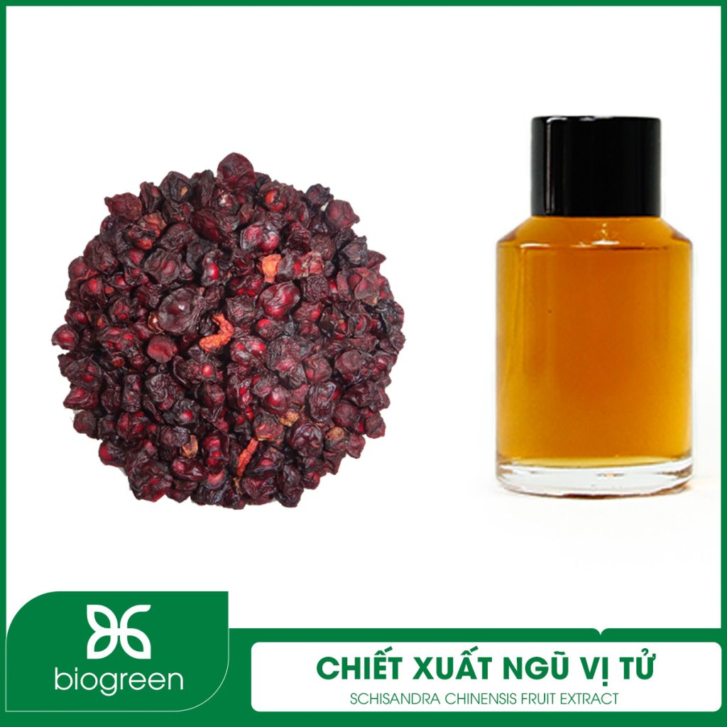Chiết Xuất Ngũ Vị Tử
