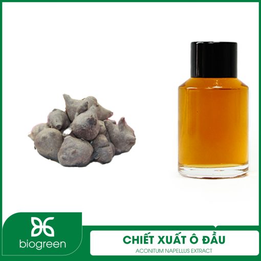 Chiết Xuất Ô Đầu