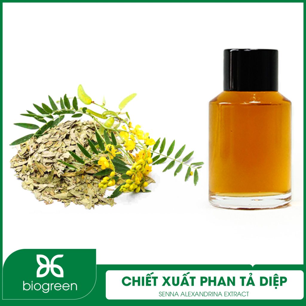 Chiết Xuất Phan Tả Diệp