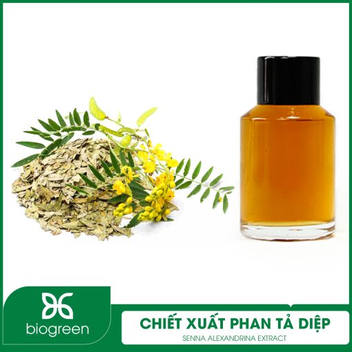 Chiết Xuất Phan Tả Diệp