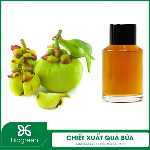 Chiết Xuất Quả Bứa