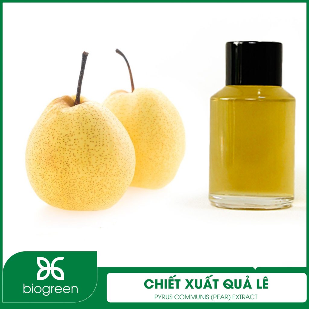 Chiết Xuất Quả Lê