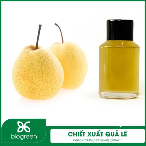 Chiết Xuất Quả Lê