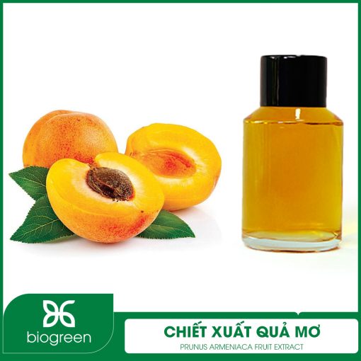 Chiết xuất Quả mơ