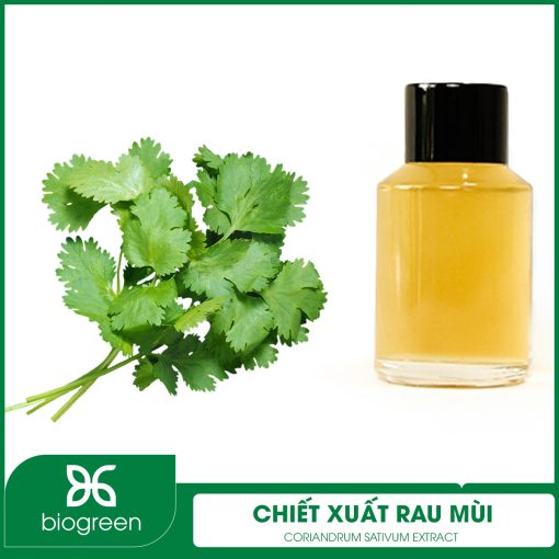 Chiết Xuất Rau Mùi