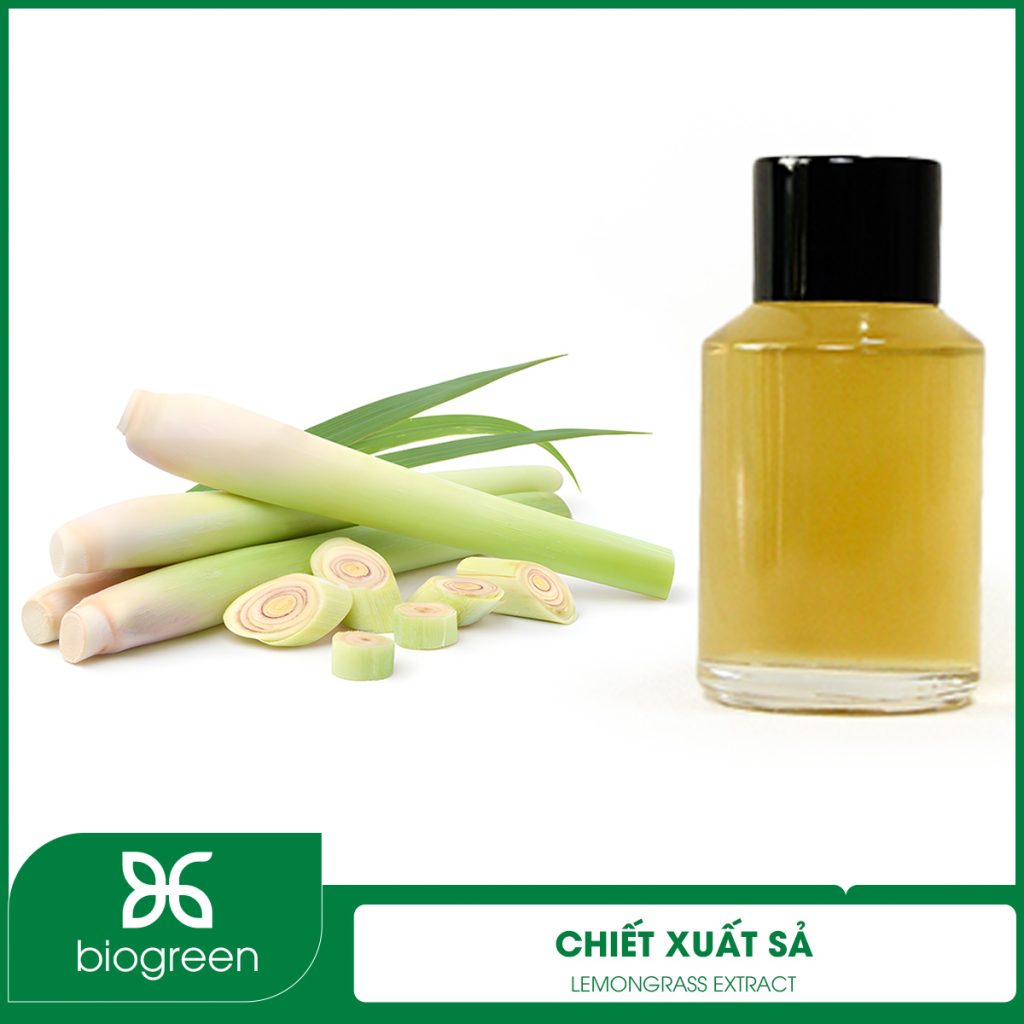 Chiết Xuất Sả
