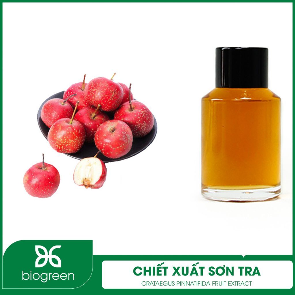 Chiết Xuất Sơn Tra