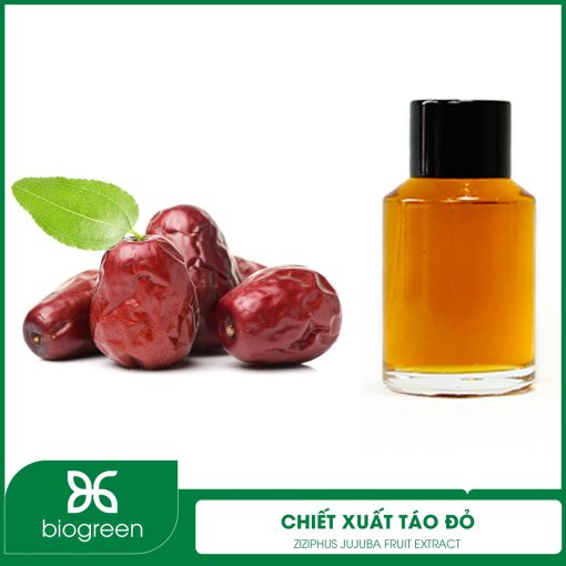Chiết Xuất Táo Đỏ