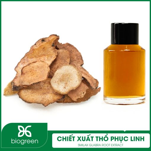 Chiết Xuất Thổ Phục Linh