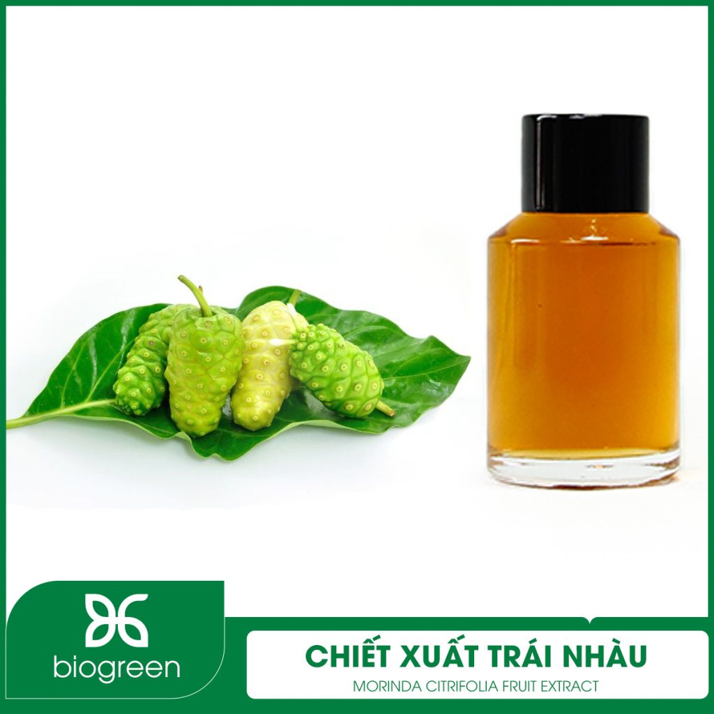 Chiết xuất Trái nhàu