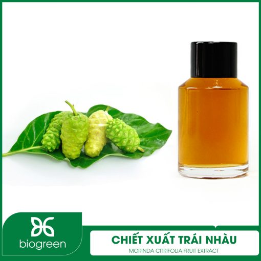 Chiết xuất Trái nhàu