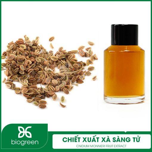 Chiết xuất Xà sàng