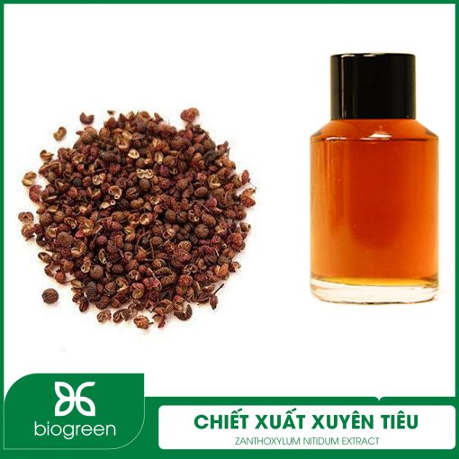 Chiết xuất Xuyên tiêu