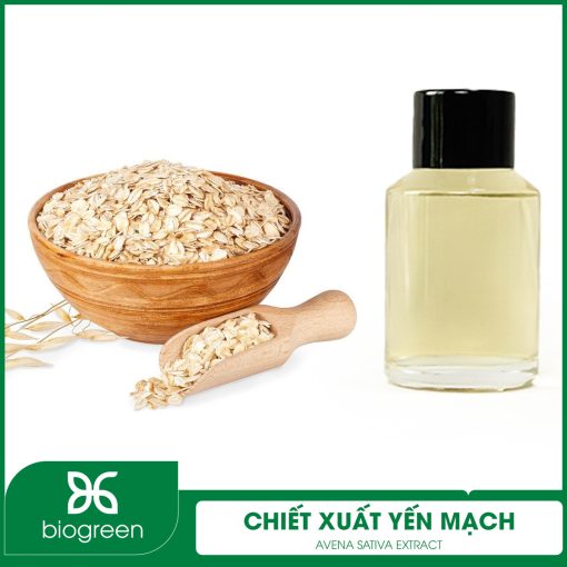 Chiết xuất Yến mạch