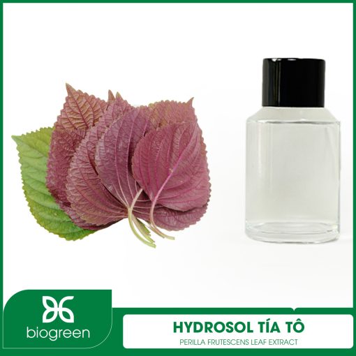 Hydrosol Tía tô