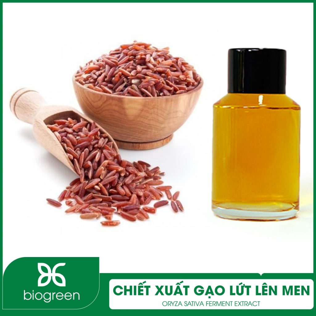 Chiết Xuất Gạo Lứt Lên Men